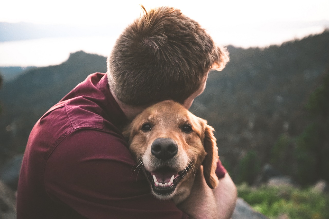 Adopcja zwierzaka ze schroniska – jak zostać jego najlepszym przyjacielem?